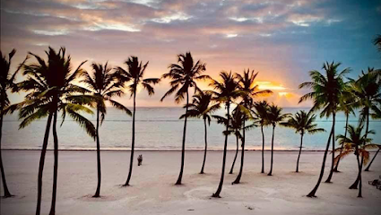 Milet Group Dream Vacations