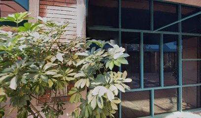 Lidice Travel and Multiservices