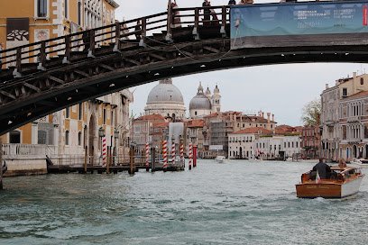 Judy’s Cruise & Travel