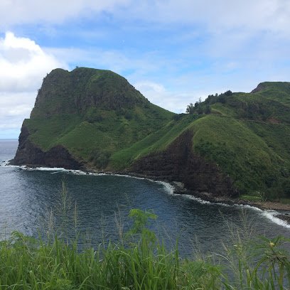 Cruise Planners – Amy Thomas