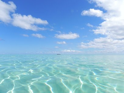 Small World Travel & Tours LLC