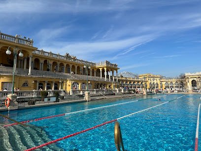 Let’s Travel Together LLC