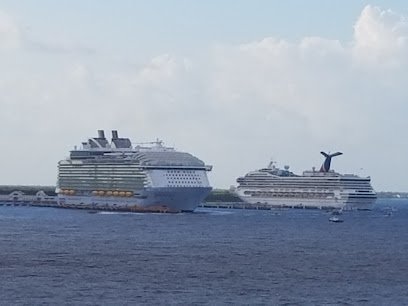 Travel Lovers Tours & Cruises