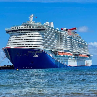 Cruising with Diann LLC