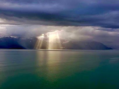 Cruise Planners – Debbie Allen