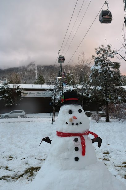 Here Today, Vacation Tomorrow