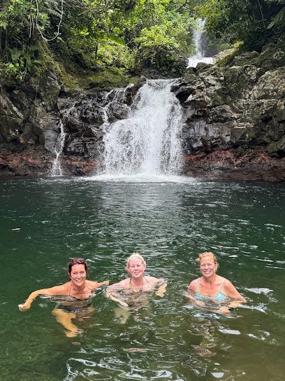 Point Me To Paradise Travel Agency – Travel Agent Galveston