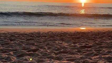 Exploring the Globe with RAD Travels | Epic Adventures Await