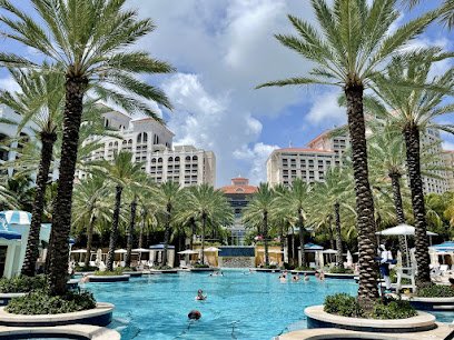 Vitas Travel Service