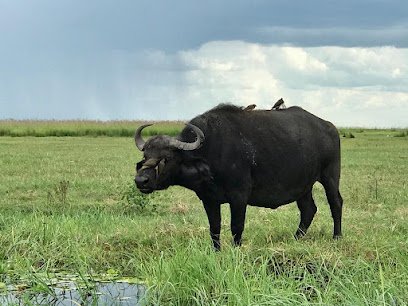 VAT Leisure Travel & Event Professionals