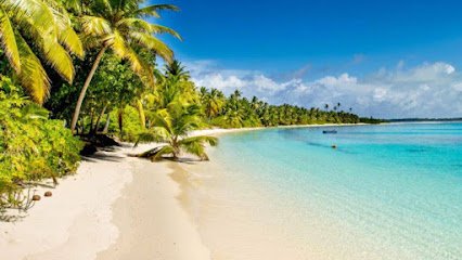 Lex-urious Travel LLC