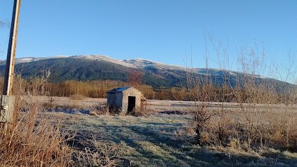 Skagit Valley Festival
