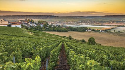 Travelex International