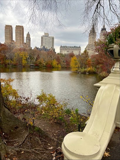 The Big Apple’s Central Park Pedicab Tours