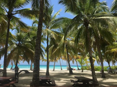 Travelers Temptation LLC