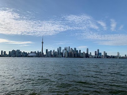 Open Palm Travel Co.