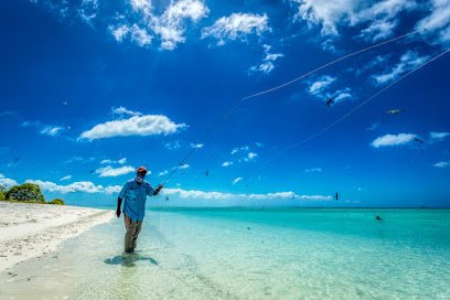 Wild on the Fly Adventure Travel