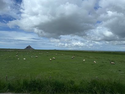 Journeys Around the World