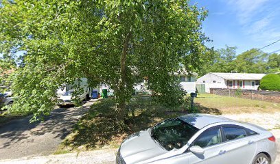 Alice In Wonderland Travels