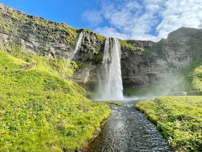 Dream Tripping Travel