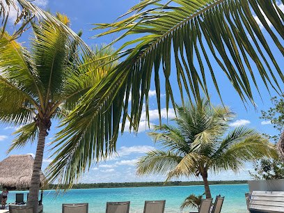 Cruise Planners – Clare