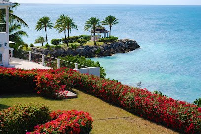 Eloise Luxury Travel