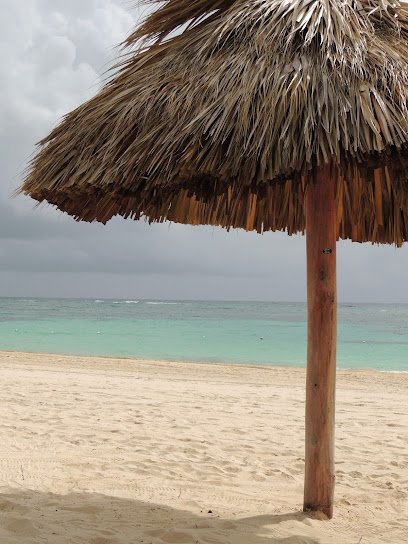 My Favorite Travel Agent