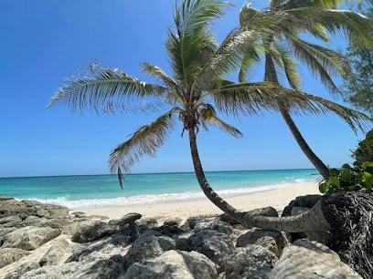 Magical Moments Vacations-Susi Kayser