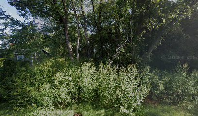 Your Freedom Travels