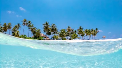 Wild Adventure Travels