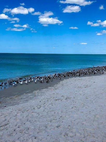 Wonderful World of Travel