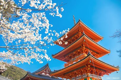 Japan Travel Agency: Japan Cruises, Shore Excursions, Private Tour Packages, Osaka 2025 Expo Travel