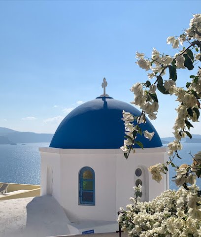 Olympic Travel – Cruise Planners